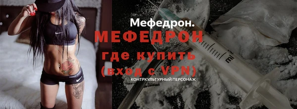 спиды Ельня