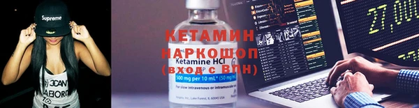 спиды Ельня