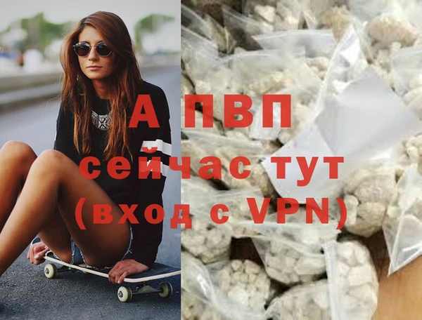 спиды Ельня