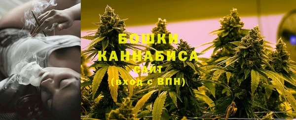 спиды Ельня