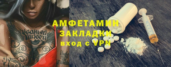 спиды Ельня