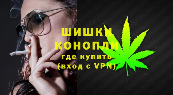 спиды Ельня