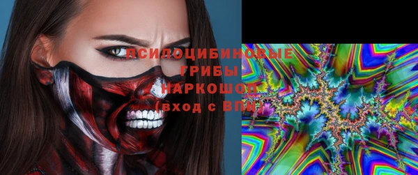 спиды Ельня