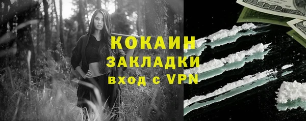 спиды Ельня