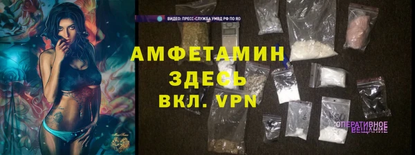 спиды Ельня